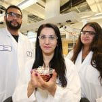 UML professor of chemical engineering Gulden Camci-Unal of Lowell, center, with masters student Darlin Lantigua of Lawrence, left, and Sanika Suvarnapathaki of Lowell. Their research is using structures inspired by origami for tissue regeneration. (SUN/Julia Malakie)